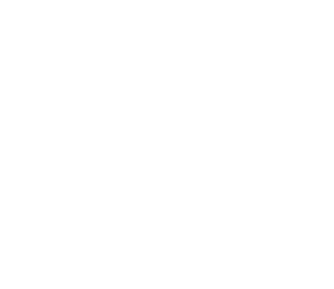 Cameron county airport Logo